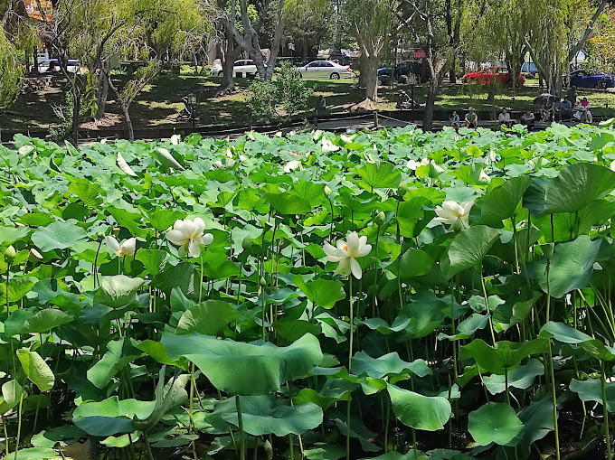 Fo Guang Shan Nan Tien Temple