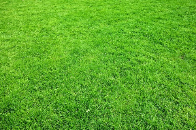 Synthetic Grass Wollongong Pro