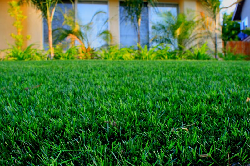 artificial turf wollongong