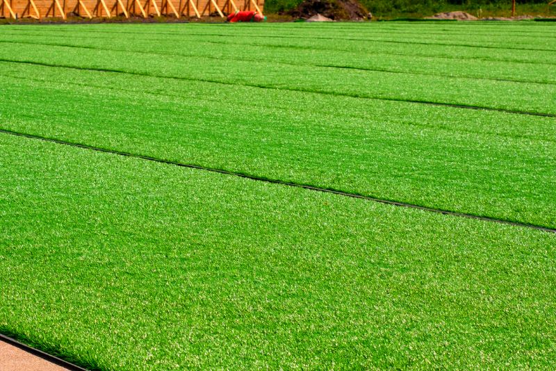 sports field with artificial grass