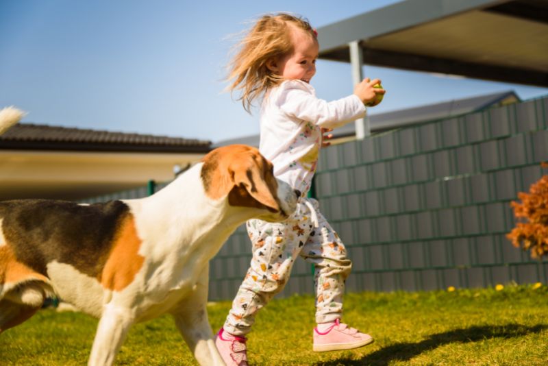 a kid and a dog playing on artificial grass lawn